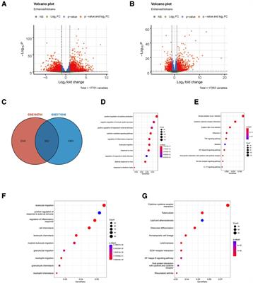 Identification of two novel ferroptosis-associated targets in sepsis-induced cardiac injury: Hmox1 and Slc7a11